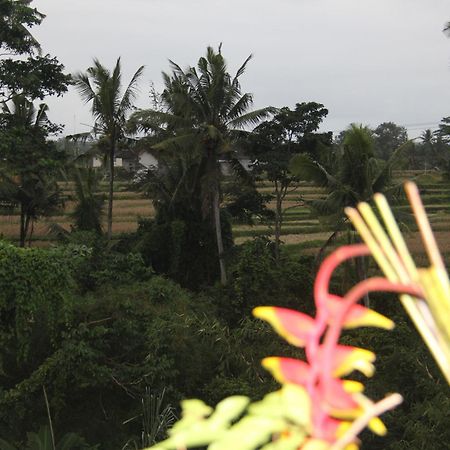 Ogek Home Stay Ubud Dış mekan fotoğraf