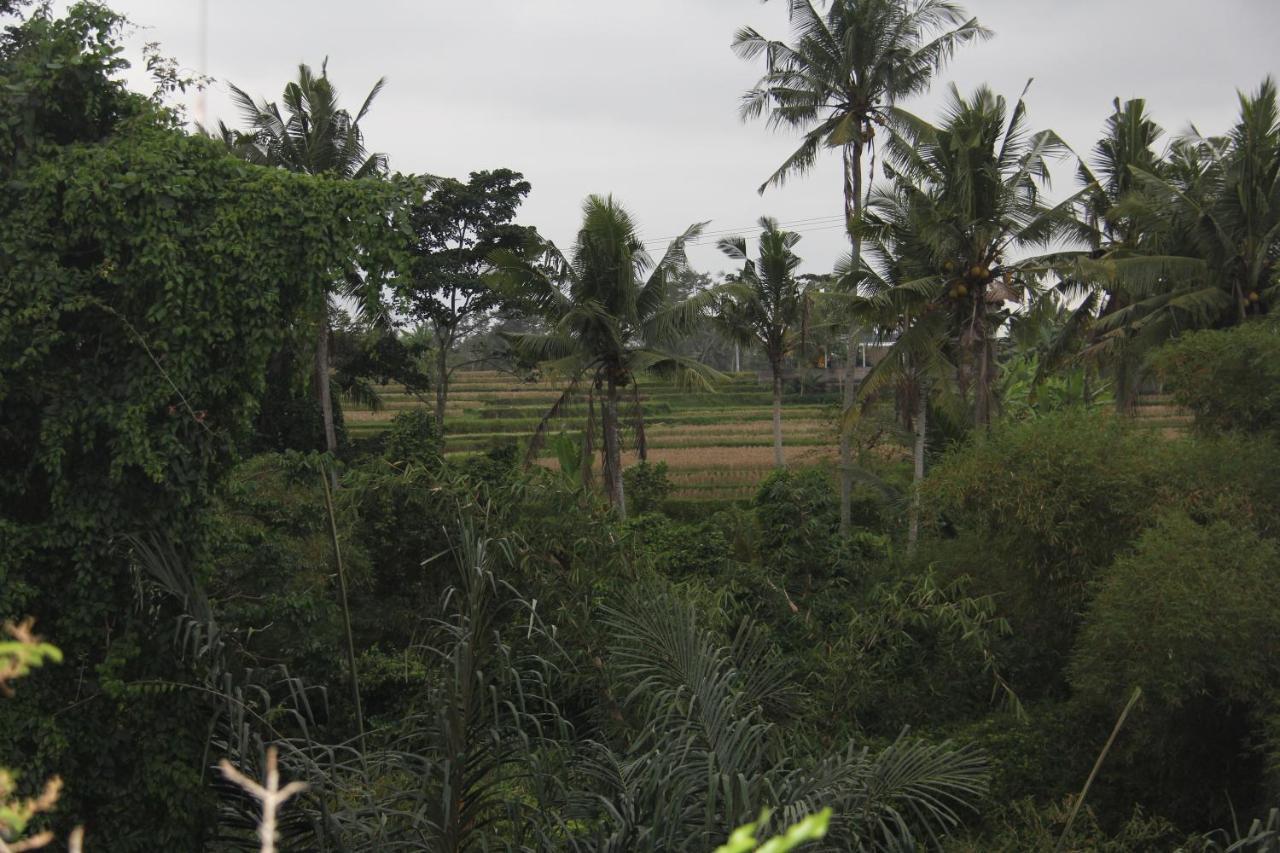 Ogek Home Stay Ubud Dış mekan fotoğraf