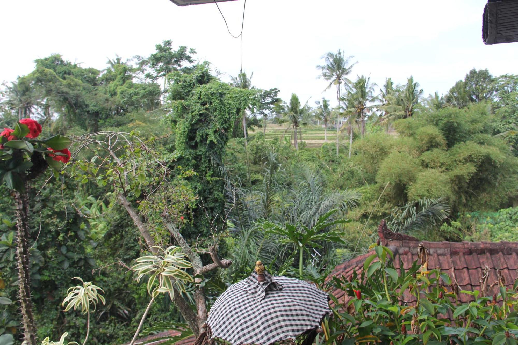 Ogek Home Stay Ubud Dış mekan fotoğraf